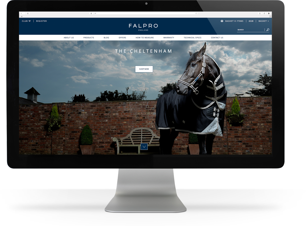 Falpro web design