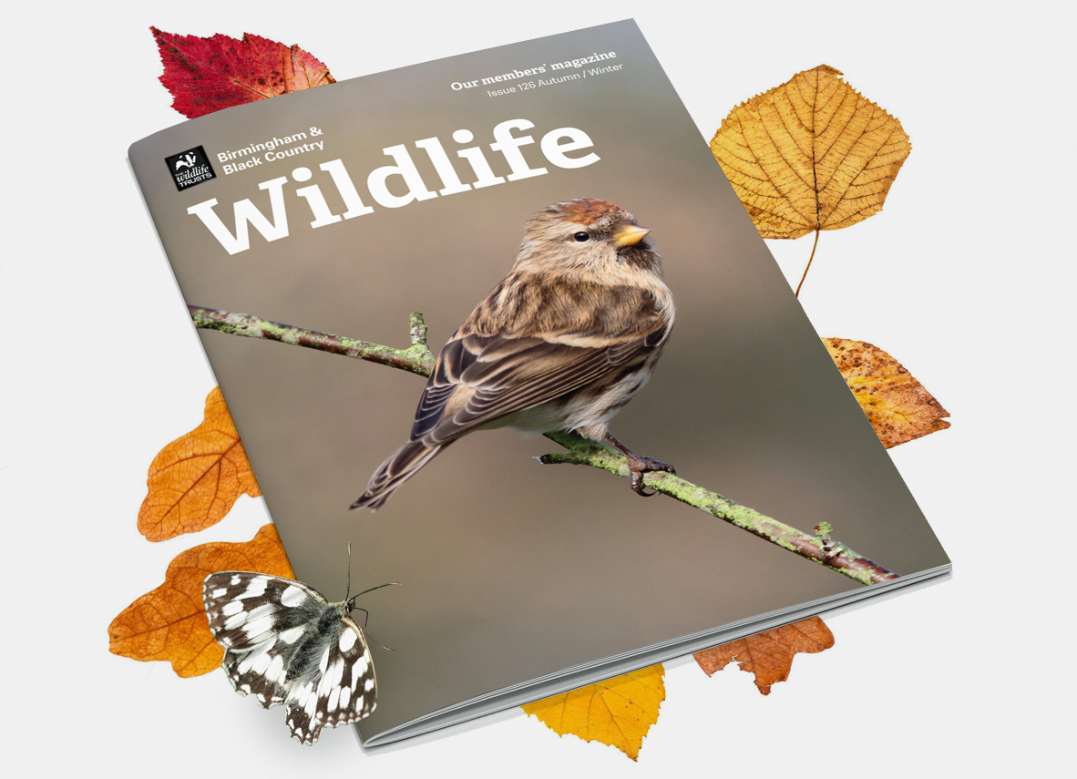 The Wildlife Trust print work