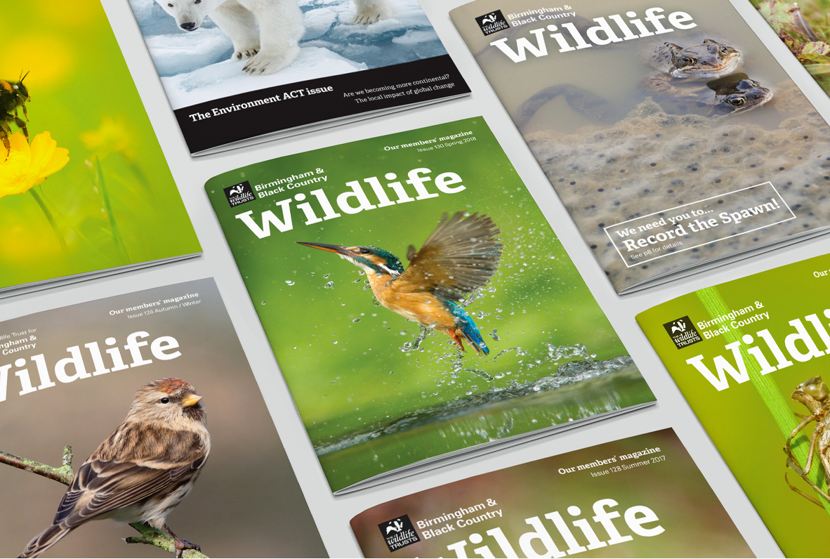 The Wildlife Trust print work