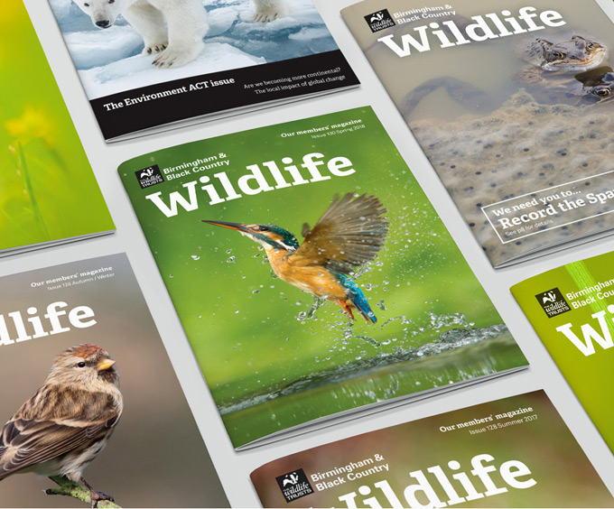 The Wildlife Trust